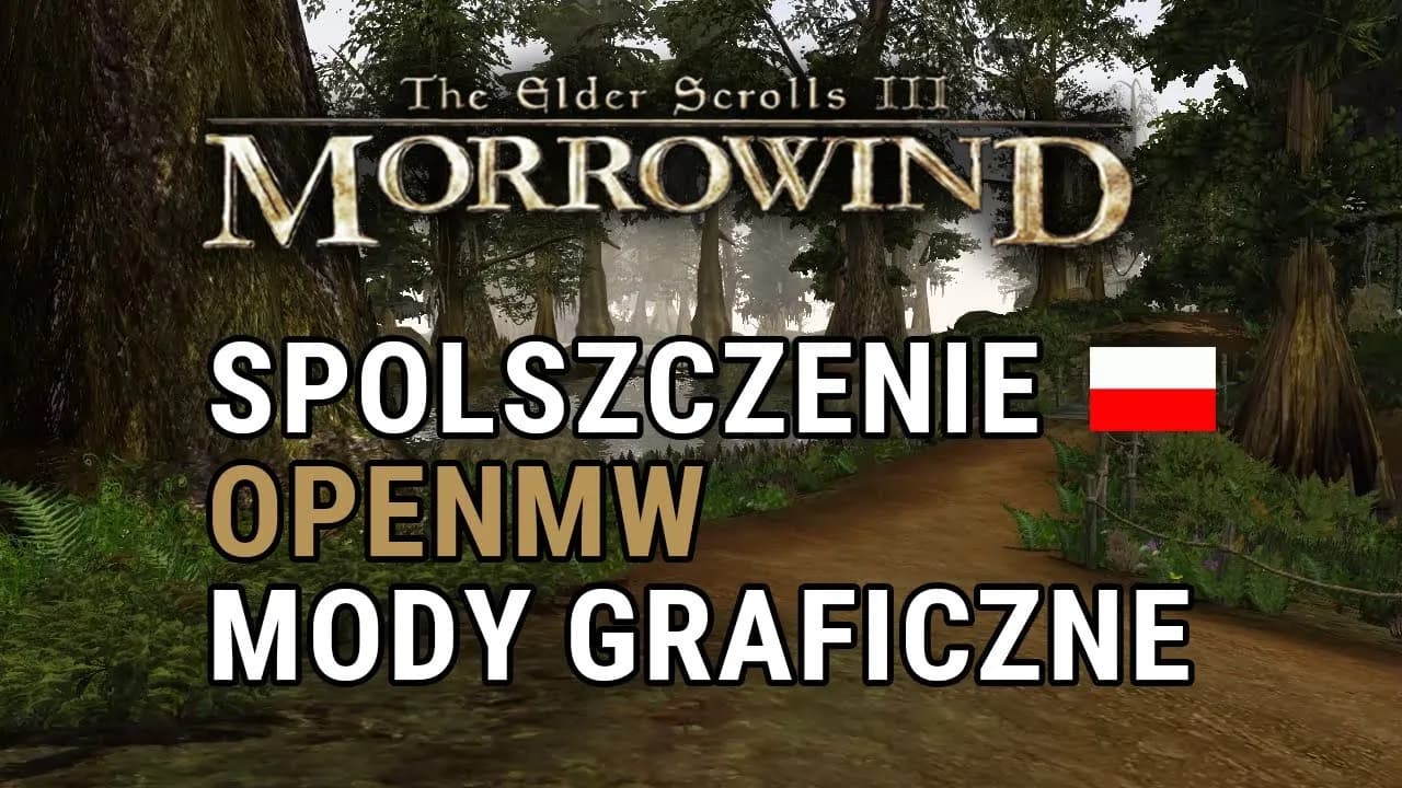 Jak zainstalować spolszczenie Morrowind - instrukcja krok po kroku + Dubbing