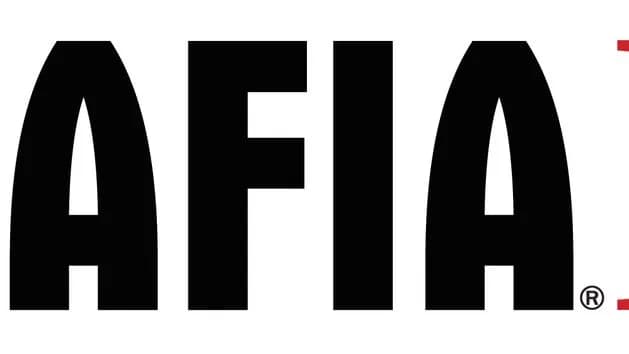 Mafia 2 spolszczenie: Jak uniknąć problemów z instalacją języka polskiego